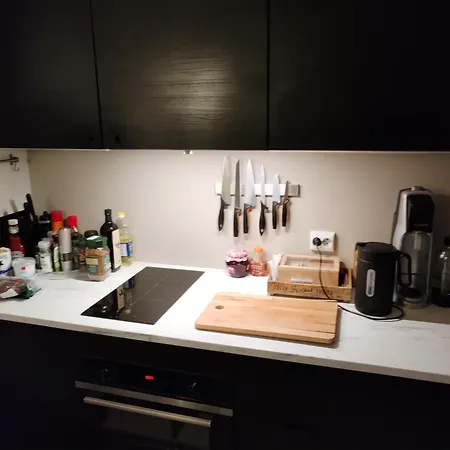 Lyder Sagens Gate 2 Апартаменты *